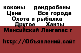 коконы    дендробены › Цена ­ 25 - Все города Охота и рыбалка » Другое   . Ханты-Мансийский,Лангепас г.